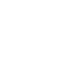 Chimney Sweeping/Repair services Nashville